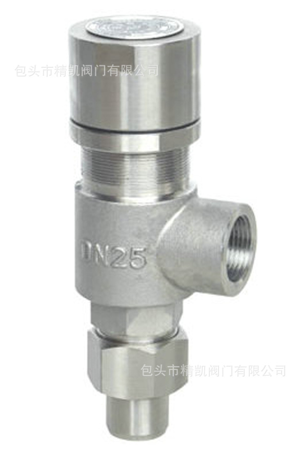 內(nèi)蒙閥門廠家 LNG 天然氣液氮 氨用閥門 DA21W低溫微啟式安全閥